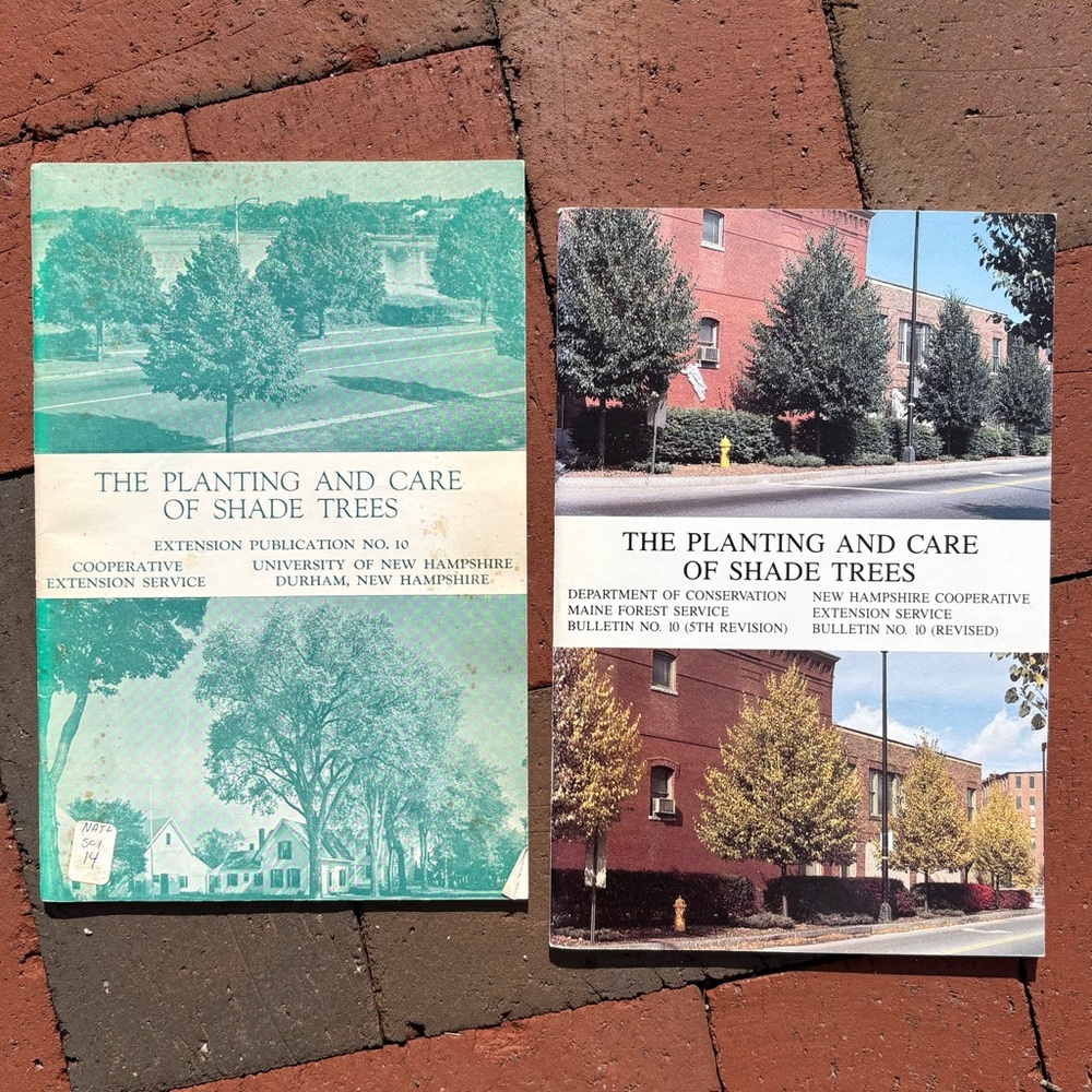 2 UNH The Planting and Care of Shade Trees Cooperative Extension Forest Service